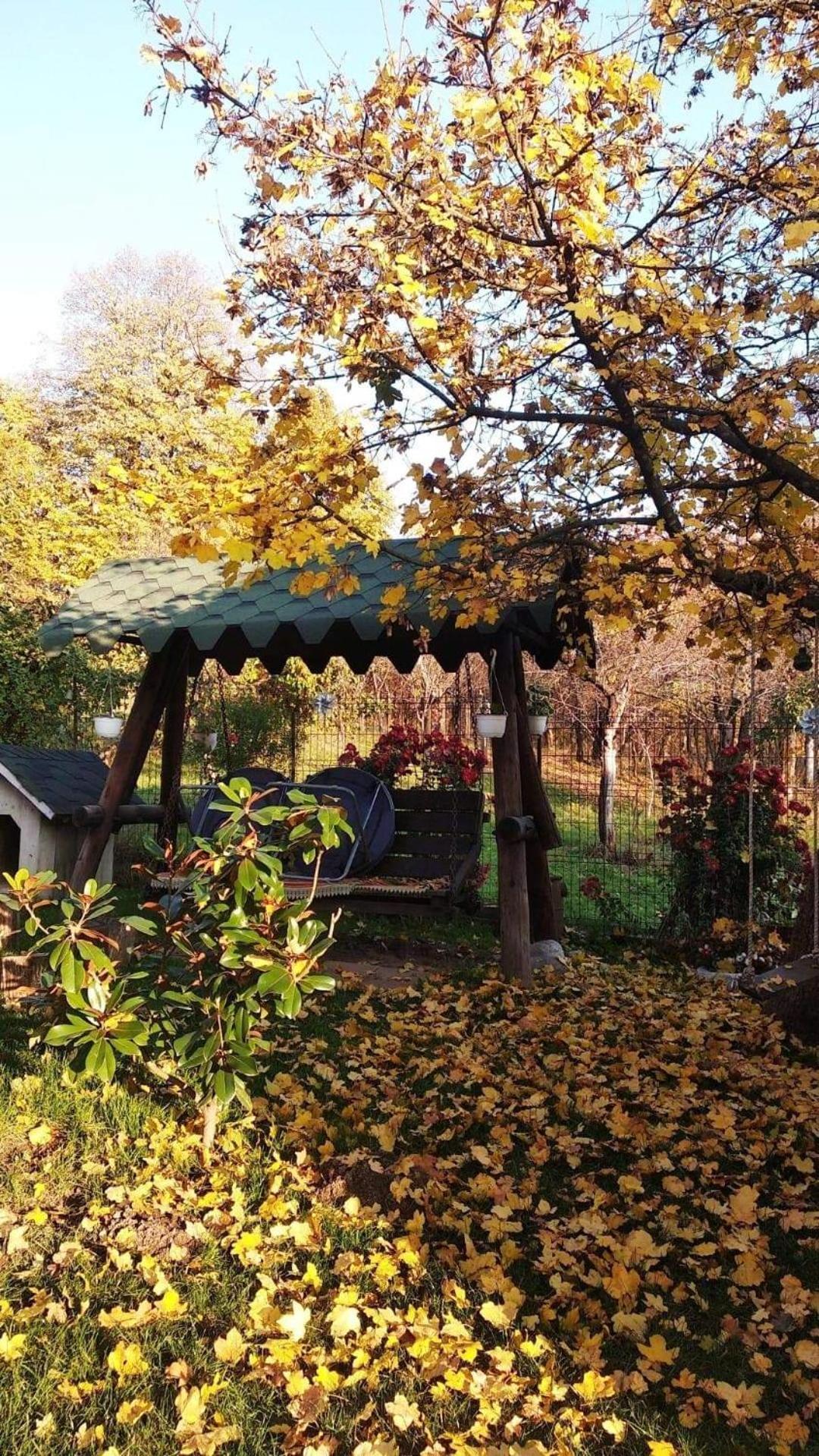 Casa Smeilor הורזו מראה חיצוני תמונה